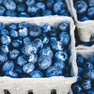 Heidelbeeren             Bvh