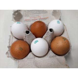 Regionale Bio-Eier, 6er Pack, Gr. M/L