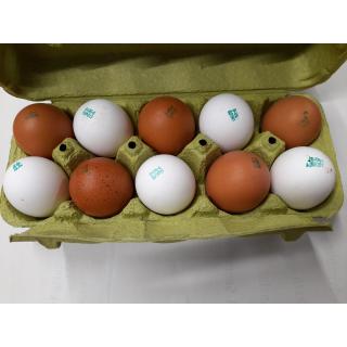 Regionale Bio-Eier, 10er Pack, Gr. M/L