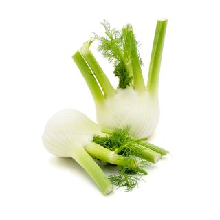 Fenchel