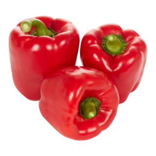Paprika rot