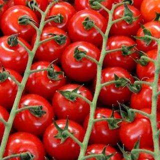 Cherrytomaten