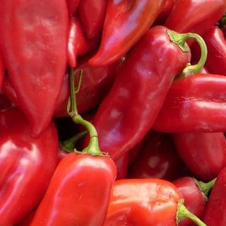 Paprika rot spitz