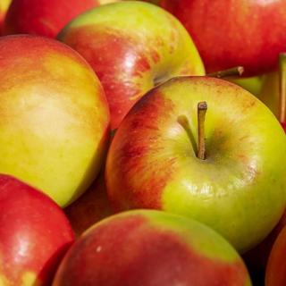 Apfel Elstar 2,5 kg        Bvh