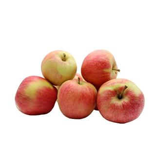 Äpfel Santana