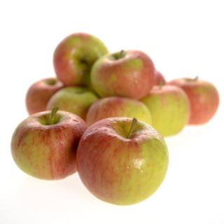 Äpfel Red Jonaprince