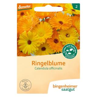 Calendula/Ringelblume