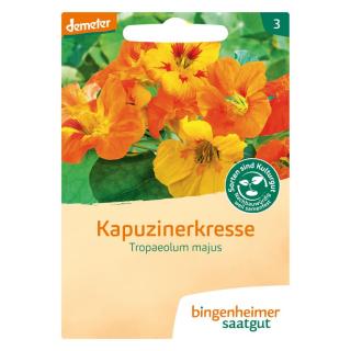Kapuzinerkresse rankend