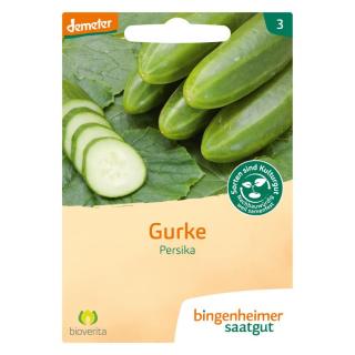 Gurke, Freilandgurke Persika